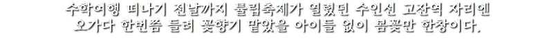 수학여행 떠나기 전날까지 튤립축제가 열렸던 수인선 고잔역 자리엔
오가다 한번쯤 들려 꽃향기 맡았을 아이들 없이 봄꽃만 한창이다.
