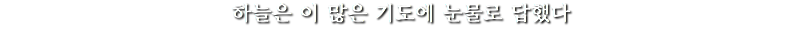 하늘은 이 많은 기도에 눈물로 답했다
